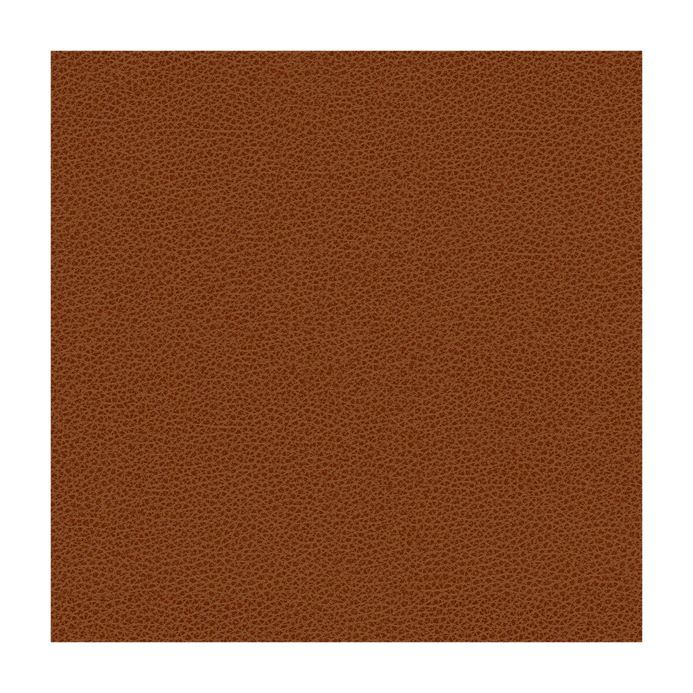 Bess-24 by Kravet Contract Designer Fabric - POLY VINYL CHLORIDE - 100% Taiwan HEAVY Horizontal: - and Vertical: - 54 - Swanky Fabrics -