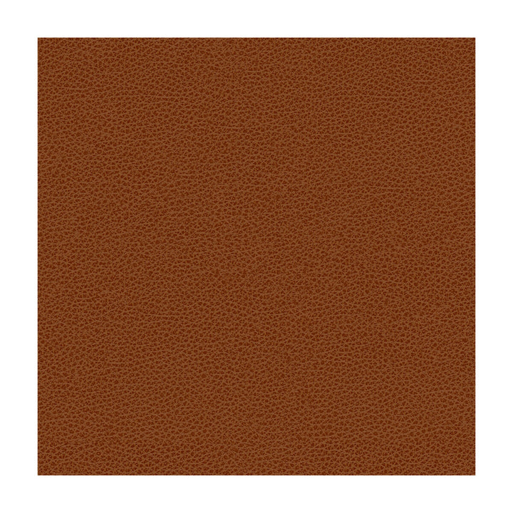 Bess-24 by Kravet Contract Designer Fabric POLY VINYL CHLORIDE - 100% Taiwan HEAVY Horizontal: and Vertical: 54 - Swanky Fabrics -