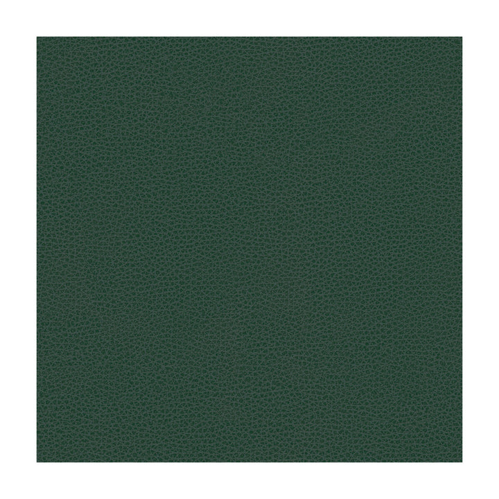 Bess-5 by Kravet Contract Designer Fabric POLY VINYL CHLORIDE - 100% Taiwan HEAVY Horizontal: and Vertical: 54 - Swanky Fabrics -