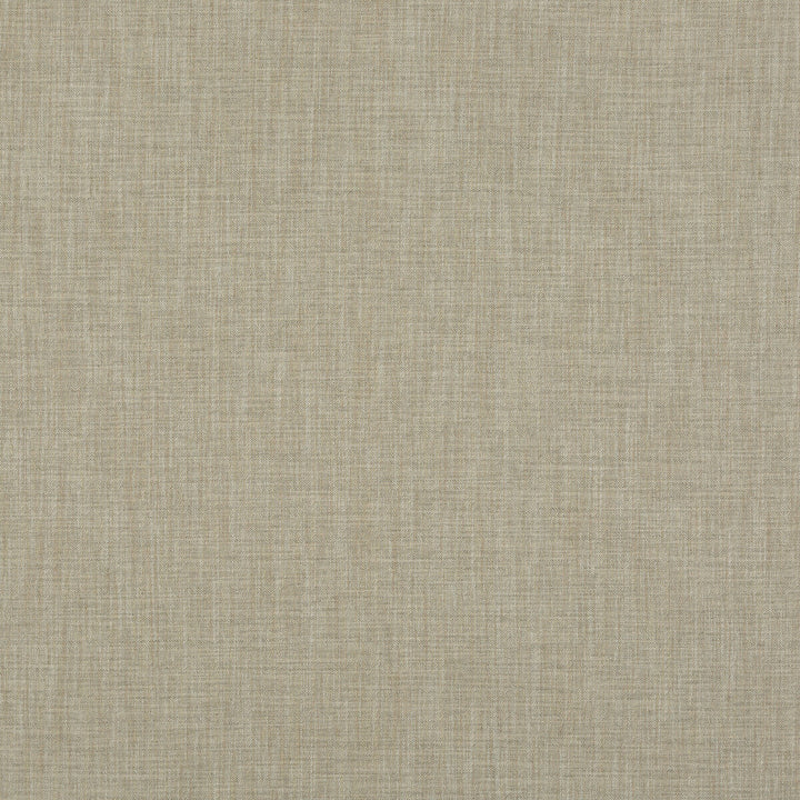 Canyon Sage by G P & J Baker Fabric G P & J Baker Fabric Canyon SageFabric ESSENTIAL COLOURS VISCOSE - 52%;LINEN - 42%;POLYESTER - 6% Italy </p><p>Repeat: H: , V: 53.978 - Fabric Carolina -