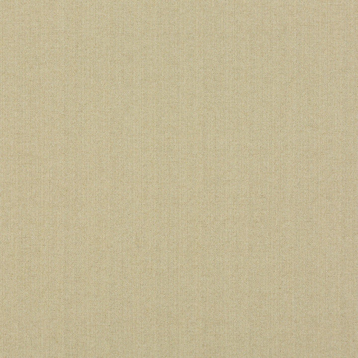 Magma Sand by G P & J Baker Fabric G P & J Baker Fabric Magma SandFabric ESSENTIAL COLOURS LINEN - 42%;VISCOSE - 28%;COTTON - 24%;POLYESTER - 6% Italy </p><p>Repeat: H: , V: 52.008 - Fabric Carolina -