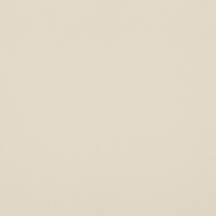 Blizzard Ivory by G P & J Baker Designer Fabric ESSENTIAL COLOURS II VISCOSE - 45%;COTTON - 35%;LINEN - 16%;POLYESTER - 4% Italy HEAVY Horizontal: and Vertical: 53.978 - Swanky Fabrics -