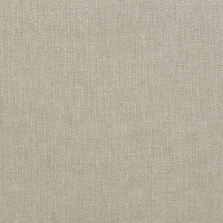Blizzard Silver by G P & J Baker Designer Fabric ESSENTIAL COLOURS II VISCOSE - 45%;COTTON - 35%;LINEN - 16%;POLYESTER - 4% Italy HEAVY Horizontal: - and Vertical: - 53.978 - Swanky Fabrics -