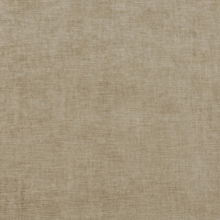 Essential Velvet Oatmeal by G P & J Baker Designer Fabric ESSENTIAL COLOURS VISCOSE - 51%;COTTON - 40%;POLYESTER - 9% Italy HEAVY Horizontal: and Vertical: 55.16 - Swanky Fabrics -