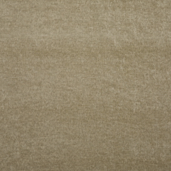 Kendal Velvet Sand by G P & J Baker Designer Fabric KESWICK VELVETS COTTON - 50%;VISCOSE - 50% Italy HEAVY Horizontal: - and Vertical: - 55.16 - Swanky Fabrics -