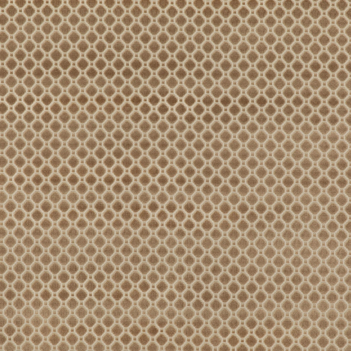 Indus Velvet Oyster by G P & J Baker Designer Fabric COROMANDEL VELVETS VISCOSE - 100% Belgium HEAVY Horizontal: 1.379 and Vertical: 1.379 53.978 - Swanky Fabrics -