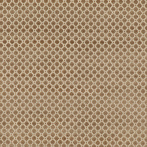 Indus Velvet Oyster by G P & J Baker Designer Fabric