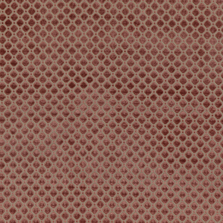 Indus Velvet Blush by G P & J Baker Designer Fabric COROMANDEL VELVETS VISCOSE - 100% Belgium HEAVY Horizontal: 1.379 and Vertical: 1.379 53.978 - Swanky Fabrics -