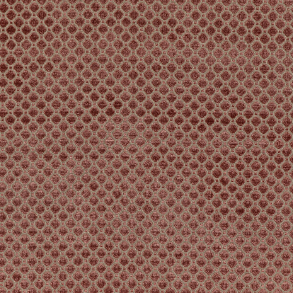 Indus Velvet Blush by G P & J Baker Designer Fabric COROMANDEL VELVETS VISCOSE - 100% Belgium HEAVY Horizontal: 1.379 and Vertical: 1.379 53.978 - Swanky Fabrics -