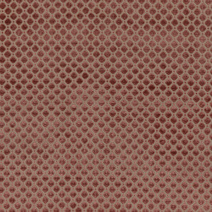 Indus Velvet Blush by G P & J Baker Designer Fabric