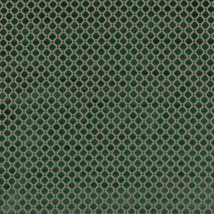 Indus Velvet Emerald by G P & J Baker Designer Fabric COROMANDEL VELVETS VISCOSE - 100% Belgium HEAVY Horizontal: 1.379 and Vertical: 1.379 53.978 - Swanky Fabrics -