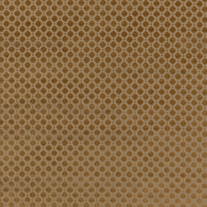 Indus Velvet Bronze by G P & J Baker Designer Fabric COROMANDEL VELVETS VISCOSE - 100% Belgium HEAVY Horizontal: 1.379 and Vertical: 1.379 53.978 - Swanky Fabrics -