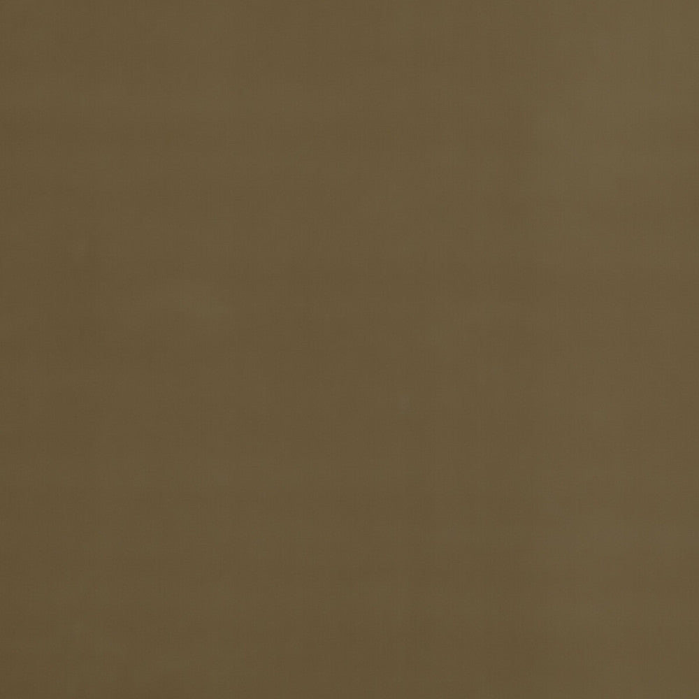 Baker House Velvet Camel by G P & J Baker Fabric G P & J Baker Fabric Baker House Velvet CamelFabric BAKER HOUSE VELVET COTTON - 89%;POLYESTER - 11% Italy </p><p>Repeat: H: , V: 55.16 - Fabric Carolina -