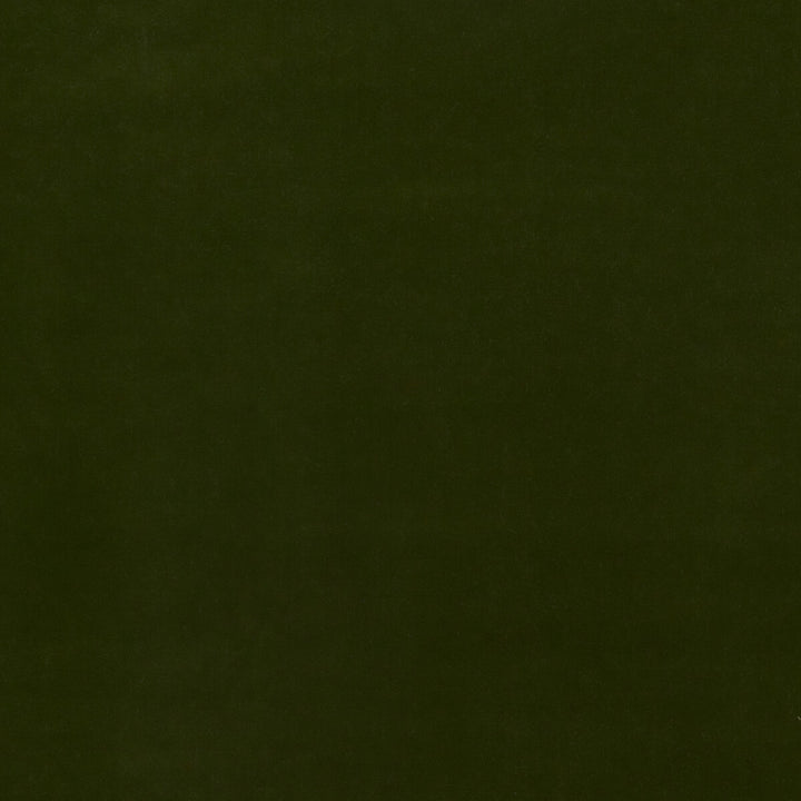 Baker House Velvet Olive by G P & J Baker Fabric G P & J Baker Fabric Baker House Velvet OliveFabric BAKER HOUSE VELVET COTTON - 89%;POLYESTER - 11% Italy </p><p>Repeat: H: , V: 55.16 - Fabric Carolina -