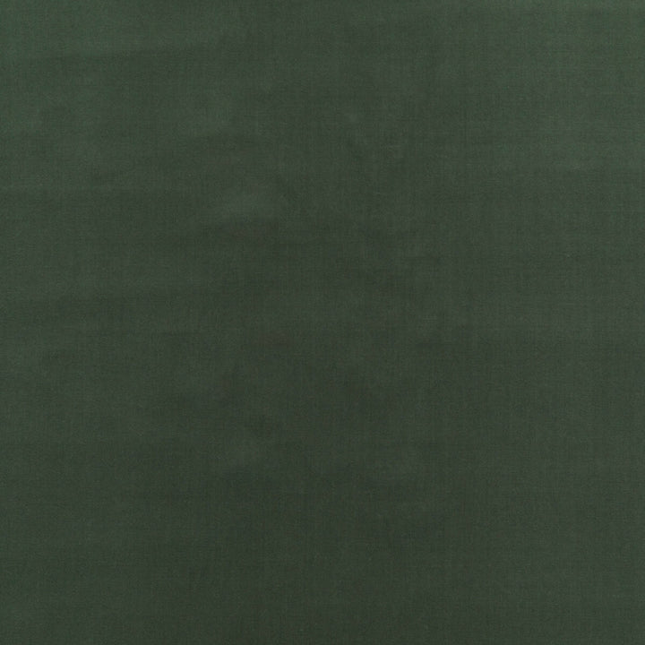 Baker House Velvet Eucalyptus by G P & J Baker Designer Fabric BAKER HOUSE VELVET COTTON - 89%;POLYESTER - 11% Italy HEAVY Horizontal: - and Vertical: - 55.16 - Swanky Fabrics -