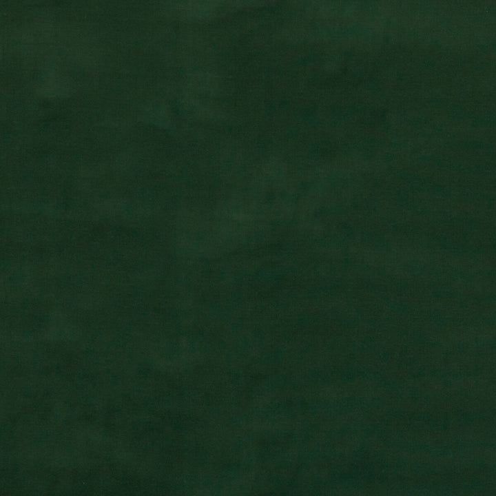 Baker House Velvet Forest by G P & J Baker Fabric G P & J Baker Fabric Baker House Velvet ForestFabric BAKER HOUSE VELVET COTTON - 89%;POLYESTER - 11% Italy </p><p>Repeat: H: , V: 55.16 - Fabric Carolina -