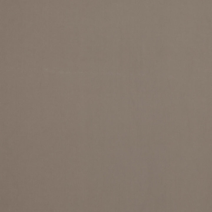Baker House Velvet Dove by G P & J Baker Designer Fabric BAKER HOUSE VELVET COTTON - 89%;POLYESTER - 11% Italy HEAVY Horizontal: and Vertical: 55.16 - Swanky Fabrics -