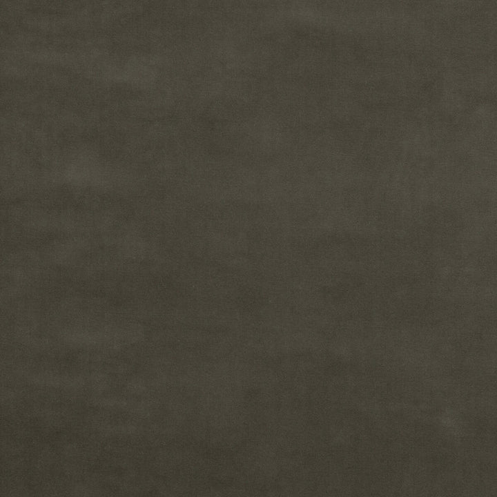 Baker House Velvet Pigeon by G P & J Baker Designer Fabric BAKER HOUSE VELVET COTTON - 89%;POLYESTER - 11% Italy HEAVY Horizontal: and Vertical: 55.16 - Swanky Fabrics -