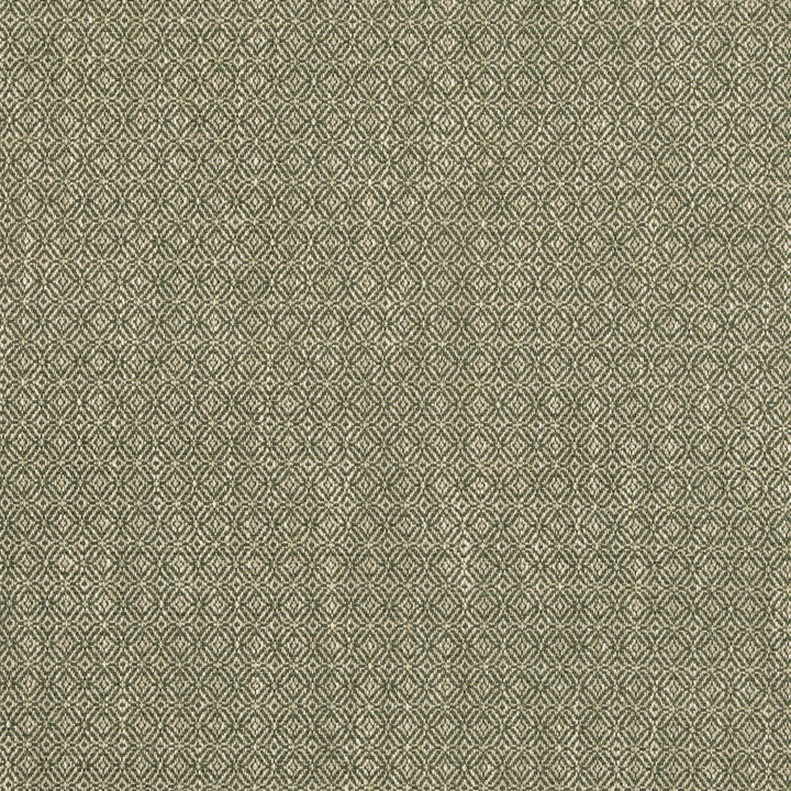 Kenton Green by G P & J Baker Designer Fabric ESSENTIAL COLOURS II VISCOSE - 60%;COTTON - 18%;POLYESTER - 12%;LINEN - 9%;SILK - 1% Italy HEAVY Horizontal: 0.985 and Vertical: 0.985 55.16 - Swanky Fabrics -