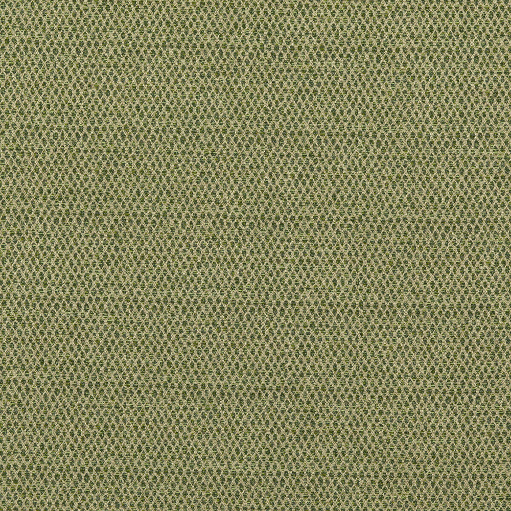 Pednor Green by G P & J Baker Fabric G P & J Baker Fabric Pednor GreenFabric ESSENTIAL COLOURS II VISCOSE - 45%;COTTON - 19%;POLYESTER - 14%;ACRYLIC - 11%;LINEN - 11% Italy </p><p>Repeat: H: , V: 54.766 - Fabric Carolina -