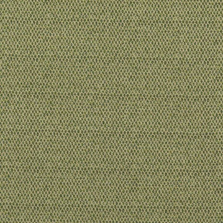 Pednor Green by G P & J Baker Designer Fabric ESSENTIAL COLOURS II VISCOSE - 45%;COTTON - 19%;POLYESTER - 14%;ACRYLIC - 11%;LINEN - 11% Italy - Horizontal: - and Vertical: - 54.766 - Swanky Fabrics -