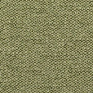 Pednor Green by G P & J Baker Designer Fabric