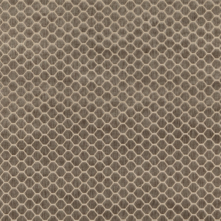 Swanbourne Mole by G P & J Baker Designer Fabric ESSENTIAL COLOURS II VISCOSE - 64%;COTTON - 19%;POLYESTER - 17% Belgium HEAVY Horizontal: 1.773 and Vertical: 1.182 54.372 - Swanky Fabrics -