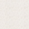 Ashkam Ivory BF11027.104.0 By G P & J Baker Designer Fabric