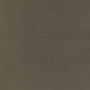 Baker House Fr Velvet Mink BF11040.285.0 By G P & J Baker Designer Fabric