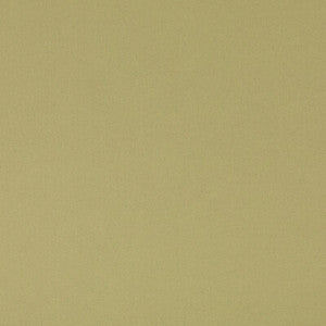 Kit'S Linen Grass BF11066.736.0 By G P & J Baker Designer Fabric