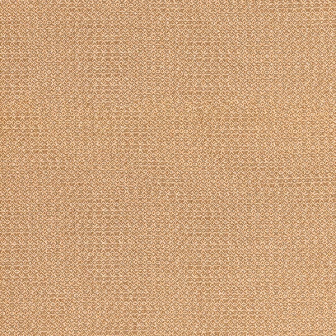 Morton - Ochre BF11084.840.0 by G P & J Baker Designer Fabric