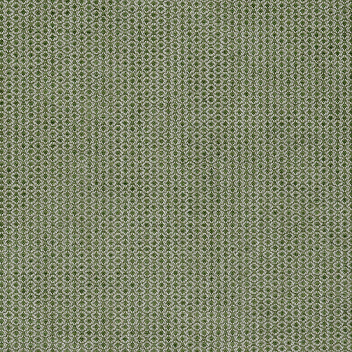 Cosgrove Moss by Lee Jofa Designer Fabric BLITHFIELD VISCOSE - 45%;COTTON - 35%;LINEN - 15%;POLYESTER - 5% Italy HEAVY Horizontal: 0.5 and Vertical: 0.6 55 - Swanky Fabrics -