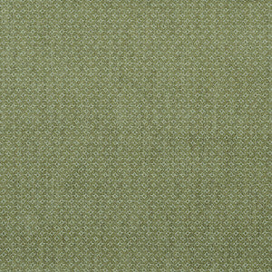 Cavendish Lime by Lee Jofa Designer Fabric