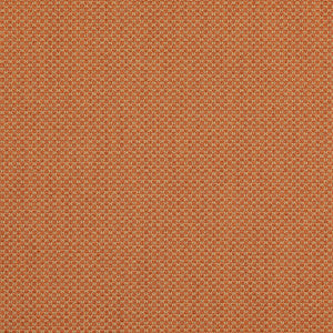 Devon Tangerine by Lee Jofa Designer Fabric