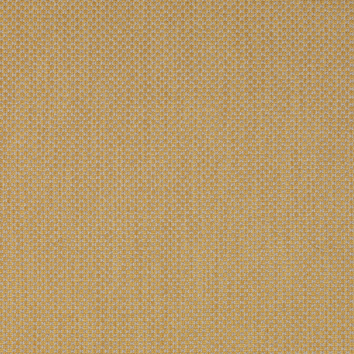 Devon Gold by Lee Jofa Designer Fabric BLITHFIELD LINEN - 36%;COTTON - 30%;VISCOSE - 28%;POLYAMIDE - 6% Italy MEDIUM Horizontal: 0 and Vertical: 0 54.33 - Swanky Fabrics -
