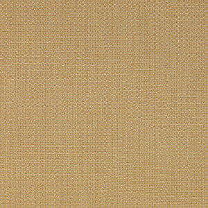 Devon Gold by Lee Jofa Designer Fabric