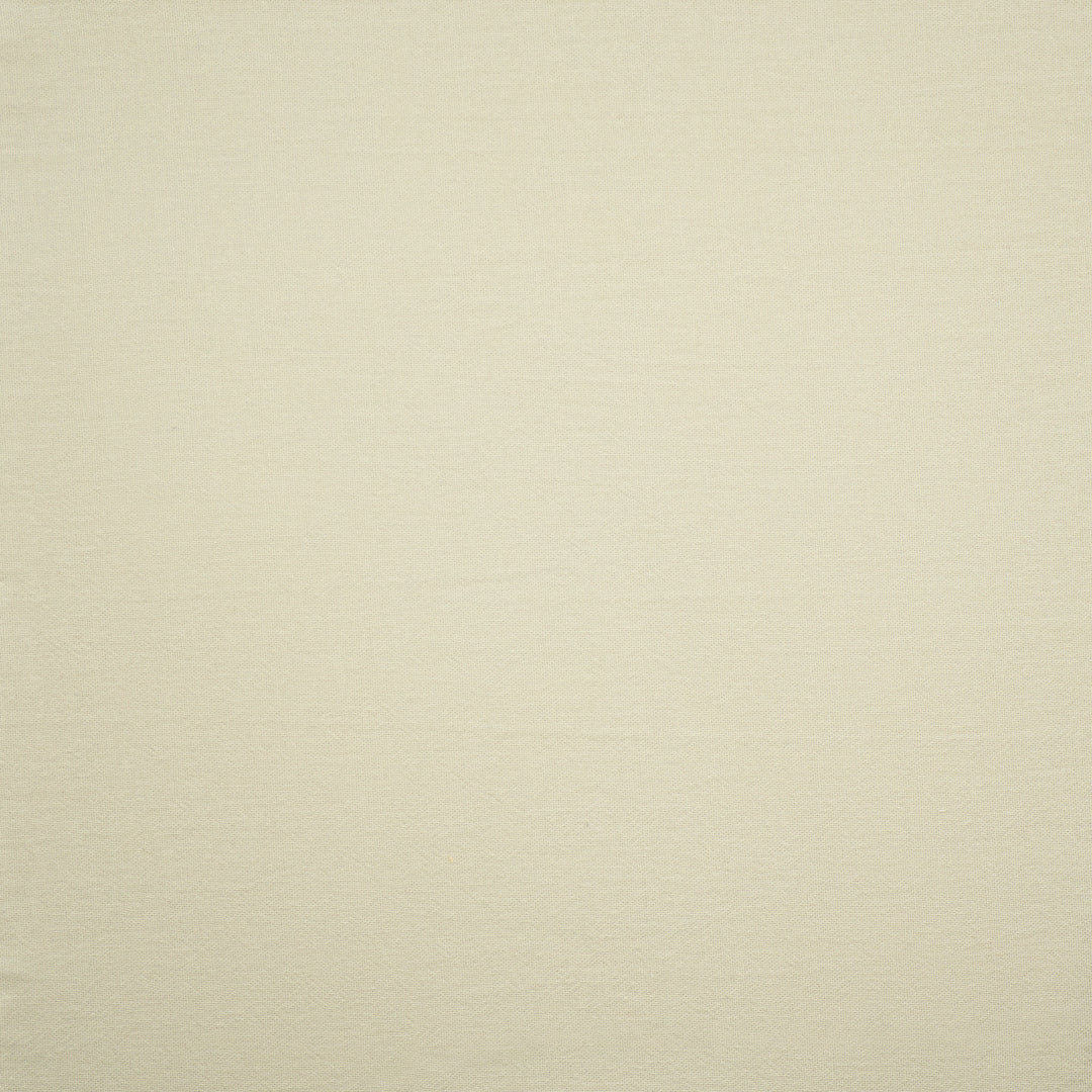 Buckley # 811 Seafoam by Maxwell Designer Fabric Pure & Simple Xx 100% COTTON INDIA 61" - Swanky Fabrics -