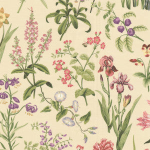 Bianca 1 Hibiscus by Stout Designer Fabric