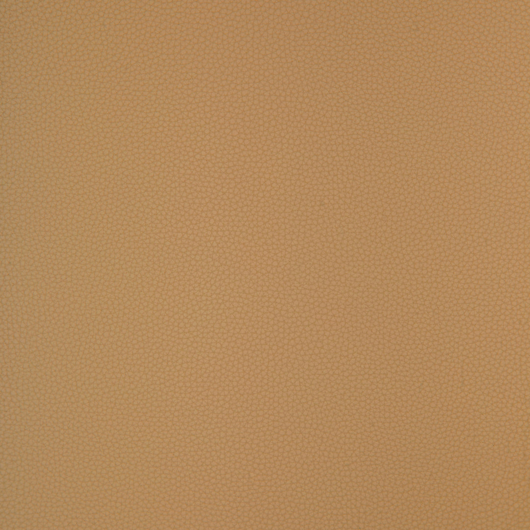 Kravet Design - Bind-116 BIND.116.0 by Kravet Design Designer Fabric