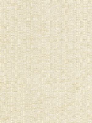 Chester Weave Sahara BKK651180002 by Boris Kroll Designer Fabric CALYPSO - CRYPTON HOME 63% COTTON 36% RAYON 1% NYLON U.S.A. HEAVY DUTY Horizontal: .25" and Vertical: .25" 58 - Swanky Fabrics -