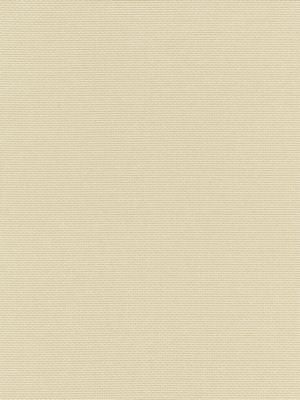 Cortland Weave Sand BKK651190002 by Boris Kroll Designer Fabric CALYPSO - CRYPTON HOME 1% PIR POLYESTER, 66% COTTON 32% POLYESTER 1% PCR POLYESTER U.S.A. HEAVY DUTY Horizontal: 4.375" and Vertical: .375" 55 - Swanky Fabrics -