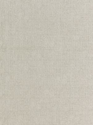 Spencer Chenille Ash BKK651170003 by Boris Kroll Designer Fabric CALYPSO - CRYPTON HOME 79% RAYON 21% POLYESTER U.S.A. HEAVY DUTY Horizontal: and Vertical: 54.5 - Swanky Fabrics -