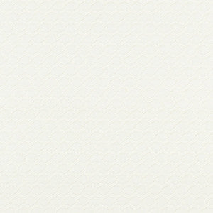 Chain Weave/Oyster Bk 0001K65120 by Boris Kroll Designer Fabric