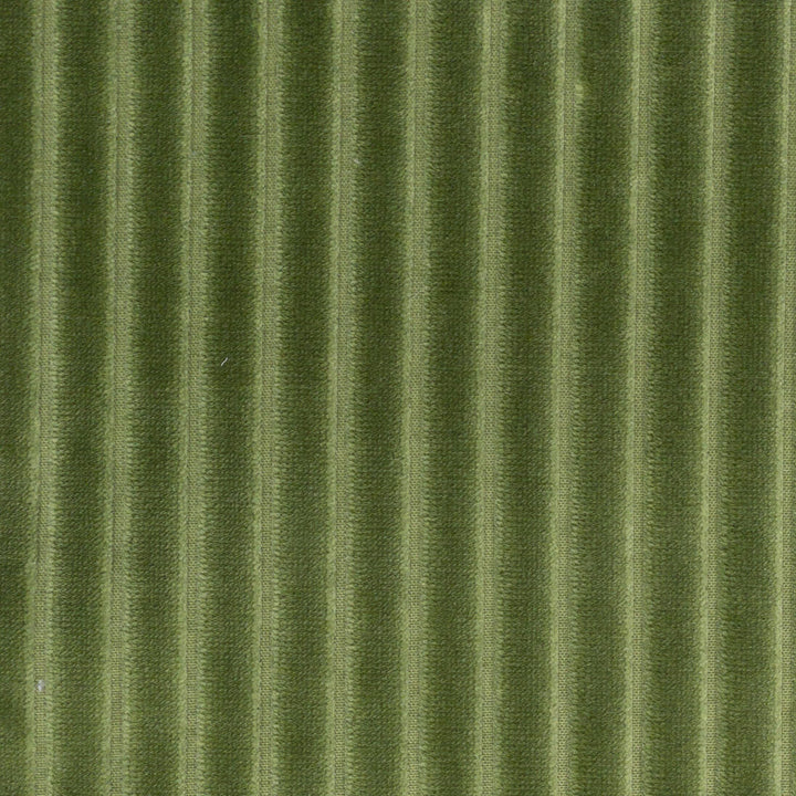 Blink 2 Chive by Stout Fabric Stout Fabric Blink 2 ChiveFabric RAINBOW LIBRARY PEAR/JUNGLE CHINA </p><p>Repeat: H: 0.750, V: 0.000 57 in - Fabric Carolina -