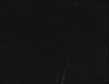 Bliss Ebony by Norbar Designer Fabric
