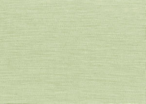Bliss Kiwi by Norbar Designer Fabric