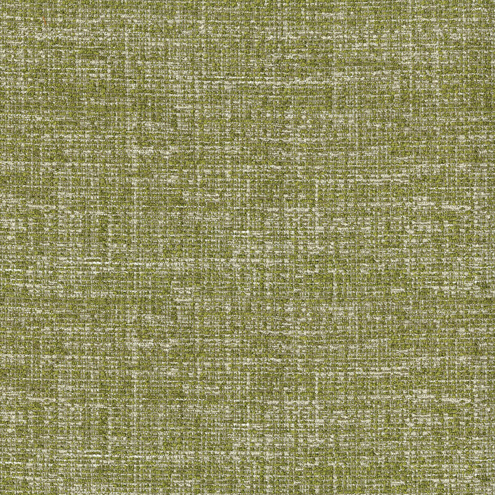 Blast 202 Wasabi by ABBEYSHEA Designer Fabric 100% Polyester CN 100,000 Double Rubs (Wyzenbeek) </p><p>Repeat: Horizontal: and Vertical: 56 in. (142 cm) - Swanky Fabrics -