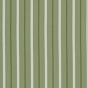 Boretti 1 Pistachio by Stout Designer Fabric