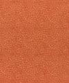 Botticelli 1 Guava by Barrow Industries Designer Fabric