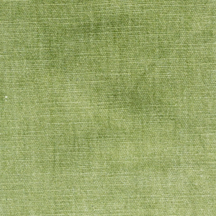 Bountiful 1 Pistachio by Stout Designer Fabric LIVING IS EASY SPRING/SPA 63%POL 37%COT INDIA FLAME RETARDANT-U.F.A.C. CLASS 1 FLAME RETARDANT-N.F.P.A. 260A CLASS 1 CATB 117-2013 WYZENBEEK 65 000 DOUBLE RUB WEAR TEST (HEAVY DUTY) Horizontal: 0.000 and Vertical: 0.000 54 in - Swanky Fabrics -